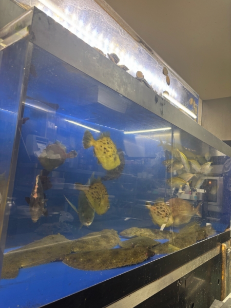 季節のお魚を1番新鮮な状態で